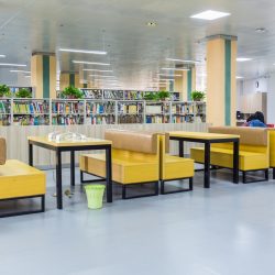 library reading area, some comfortable seat and shelf background